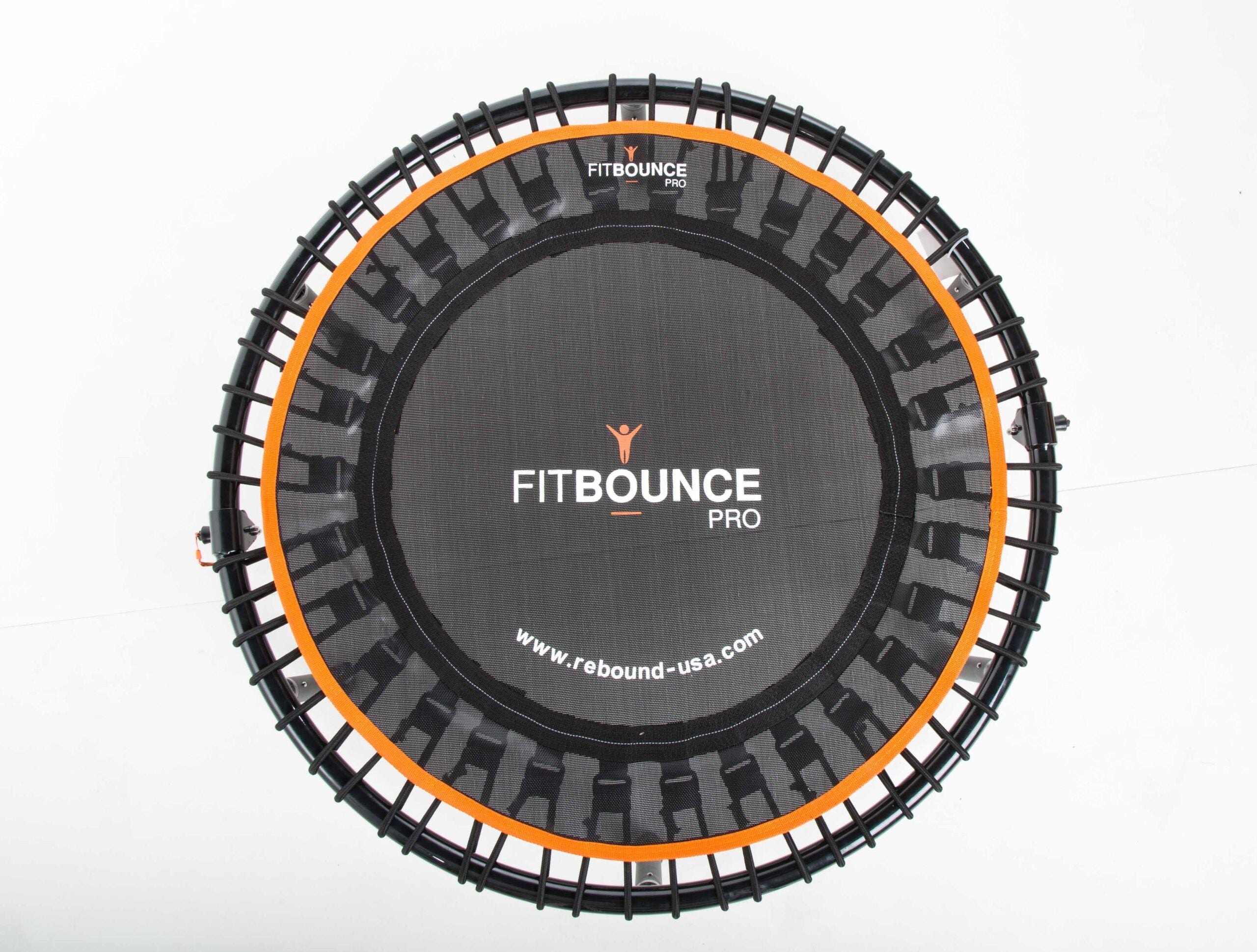 Fit bounce 2025