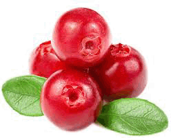 Cranberries (NL) - 200G