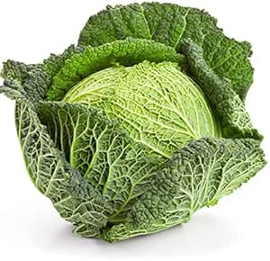 Winter Cabbage