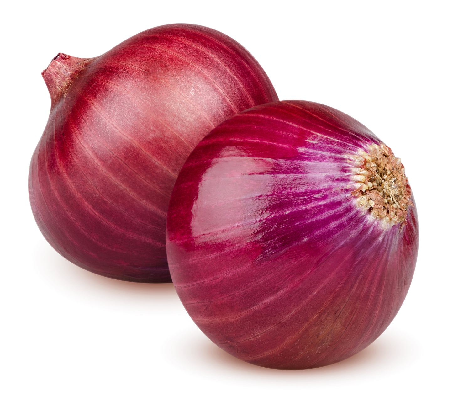 Red Onion - (NL) - 500G