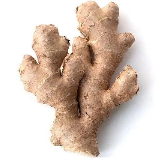 Ginger (PE) - Each